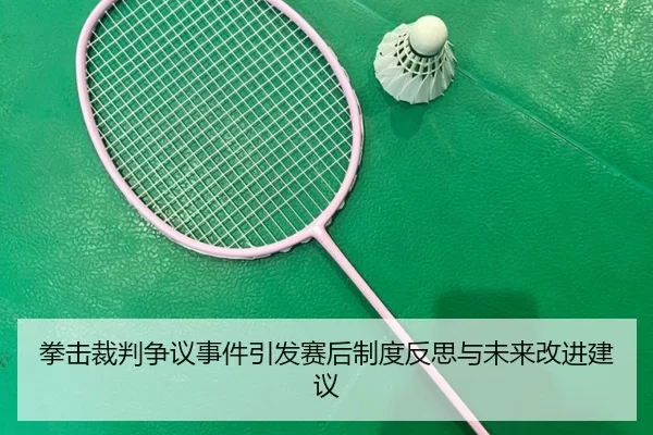 拳击裁判争议事件引发赛后制度反思与未来改进建议