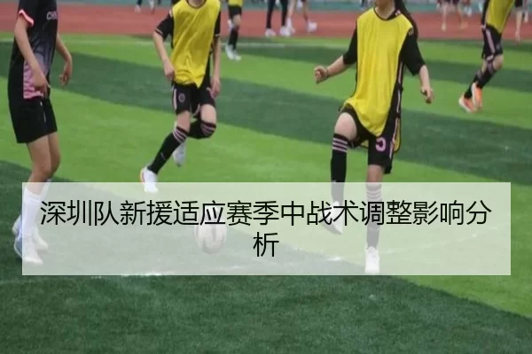 深圳队新援适应赛季中战术调整影响分析