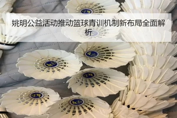 姚明公益活动推动篮球青训机制新布局全面解析