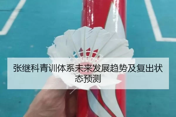张继科青训体系未来发展趋势及复出状态预测