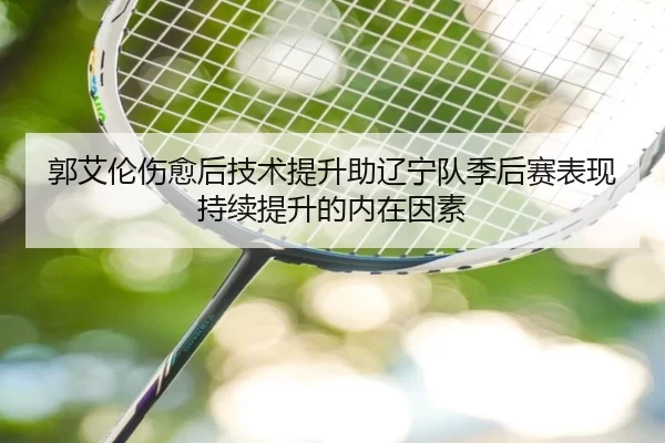 郭艾伦伤愈后技术提升助辽宁队季后赛表现持续提升的内在因素